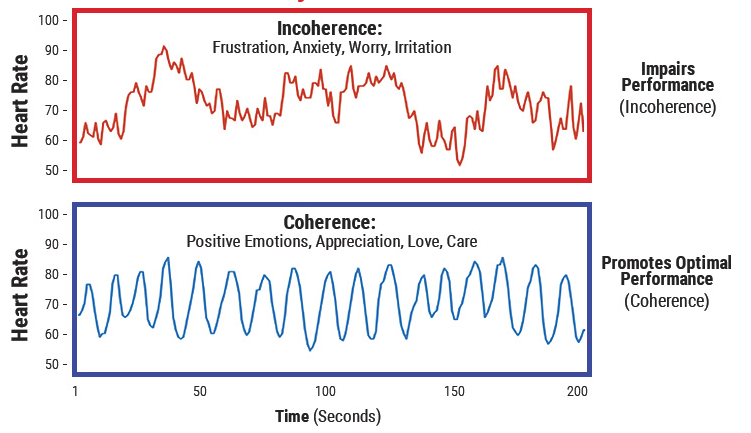 What Is Heart Coherence & Why It Matters
